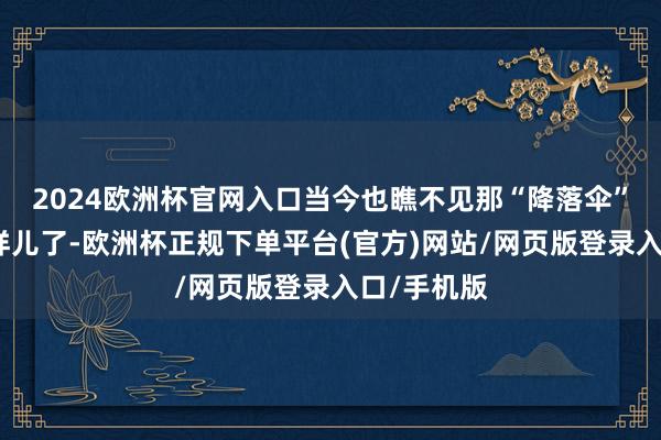 2024欧洲杯官网入口当今也瞧不见那“降落伞”被打成啥样儿了-欧洲杯正规下单平台(官方)网站/网页版登录入口/手机版