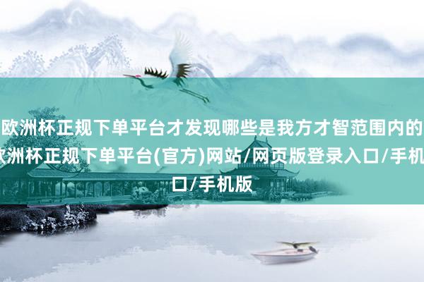 欧洲杯正规下单平台才发现哪些是我方才智范围内的-欧洲杯正规下单平台(官方)网站/网页版登录入口/手机版