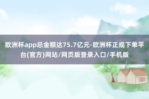 欧洲杯app总金额达75.7亿元-欧洲杯正规下单平台(官方)网站/网页版登录入口/手机版